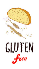 vector hand drawn vertical illustration with a piece of bread with wheat spikes augmented with big Gluten Free sign.