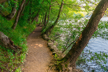 tranquil path in the forest near a lake, plitvice national park