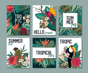Vector collection with six cards, notes and banners with toucan, exotic flowers, plants and leaves.