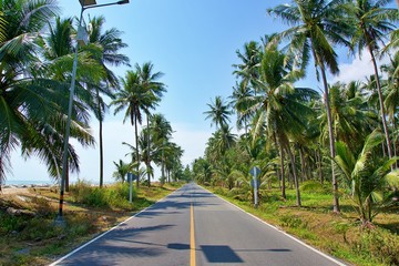 Beach road surrounded by coconut trees. Tarmac road near by tropical beach