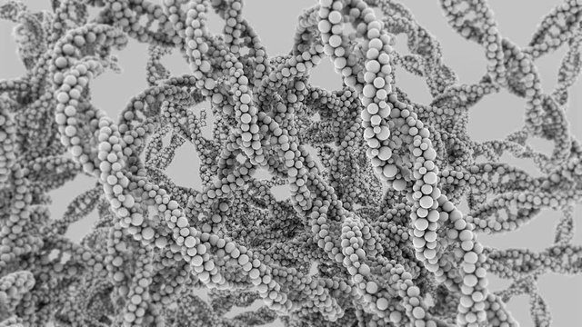 Travel inside DNA molecules