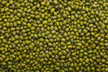 Mung beans texture.