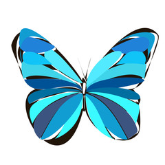 colorful butterfly, contour, blue