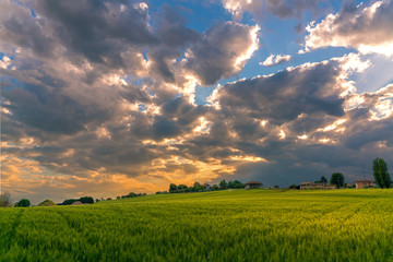 dramatic countryside landscape at sunset after rain