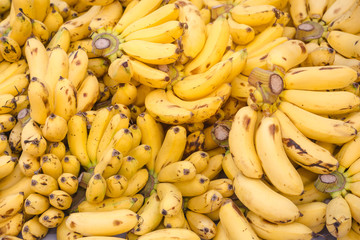 bunch of bananas