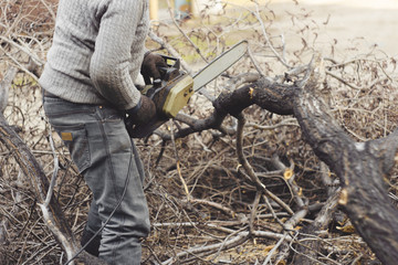  lumberjack sawing wood