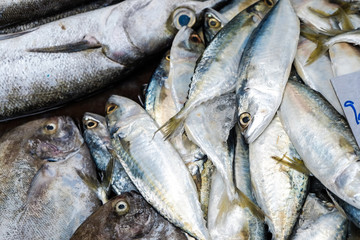 Seafood fish sell in traditional fishery market