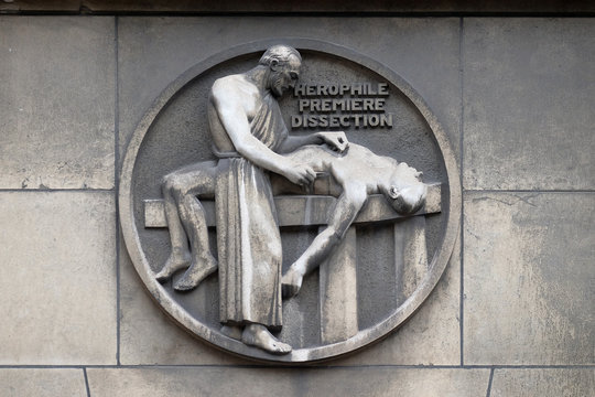 Herophilos, the first dissection. Stone relief at the building of the Faculte de Medicine Paris, France
