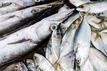Seafood fish sell in traditional fishery market
