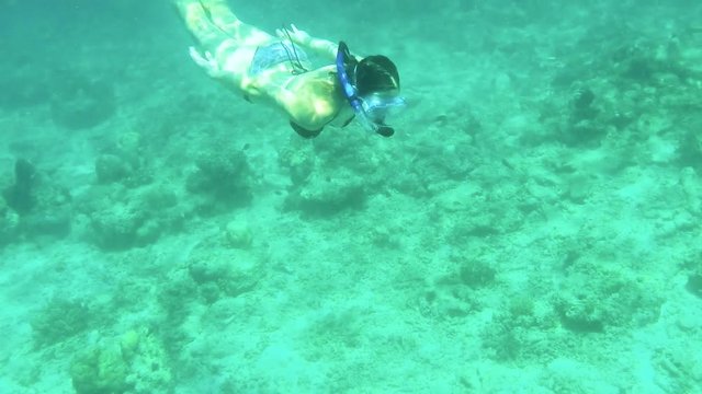 SLOW MOTION HOLIDAYS Young female tourist swimming underwater with strong dolphin kicks. Snorkelling in crystal clear water of the tropics, wearing mask and fins