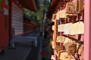  Sumiyoshi Taisha in Osaka, Japan. Osaka is one of the important cities in Japan.
