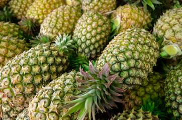 group of pineapple fruit