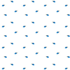 Pattern with Regal Tang. Vector hand drawn sketch Card with aquarium fish.