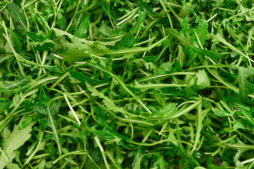 Fresh leaves of arugula as background.