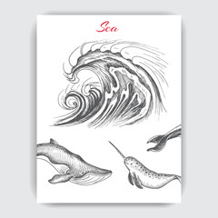 Card with hand drawn sketch whale, wave.