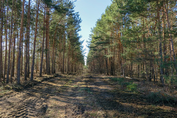 wALD STRA?E ZUFAHRT