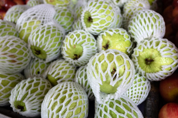 green fresh guava fruit