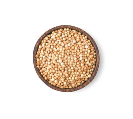 Coriander seeds  on white background