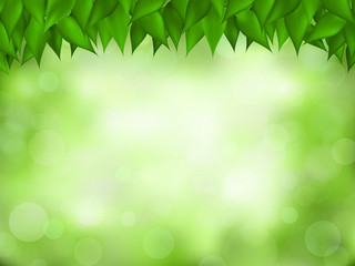 Nature realistic background. Green leaves frame behind blurred forest, with bokeh light effect. Spring and summer vector illustration. Empty space for the text.