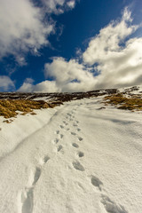 Snow foot traces in the mountain under a majestic blue sky and white clouds
