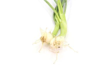 Fototapeta premium Scallion green onion spring onion salad onion bundle whole root on white background.