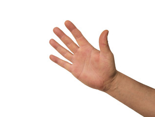 Set of male's fist isolated on white background 