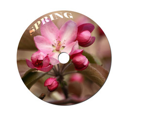 Musical disk with a blossoming apple-tree on a cover