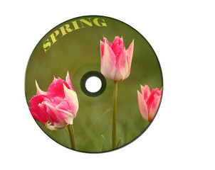 Musical disk with a pink tulips on a cover