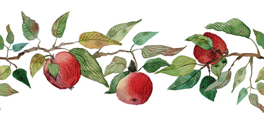 Seamless Border  watercolor red apples leaves branches ornament