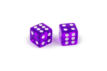 Two purple glass dice isolated on white background. Six and four.