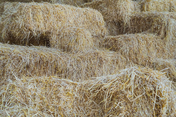 Bales of Straw in a shed for feeding horses