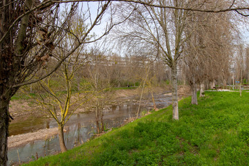 detail of a garden in Odivelas in early spring.jpg