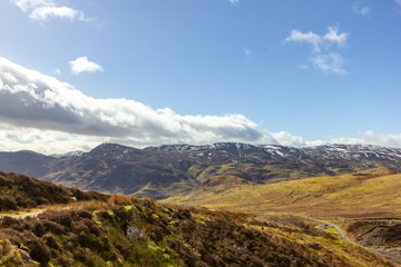 A view of a grassy mountain slope with some pine trees and other snowy mountain summits in the background under a majestic blue sky and white clouds