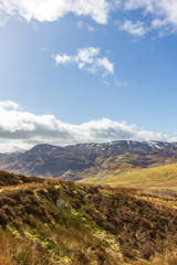 A view of a grassy mountain slope with some pine trees and other snowy mountain summits in the background under a majestic blue sky and white clouds