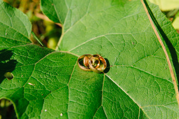 Wedding rings with snail on the leaf