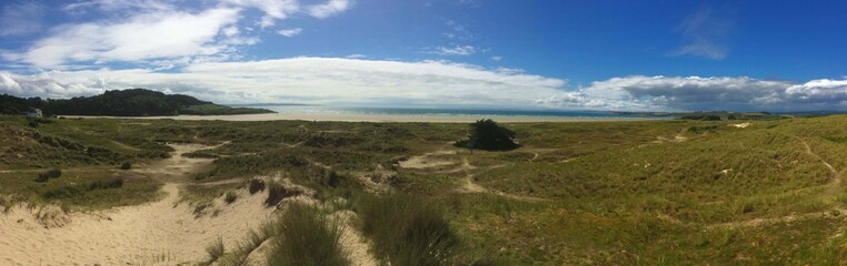 Fototapeta na wymiar les dunes derrière la plage en Bretagne
