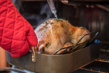 Holiday turkey being basted in the oven with red oven mitts
