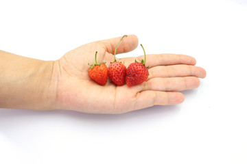Hand holding a few fresh red small strawberries isolated on white background.