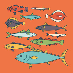 Vector fish background