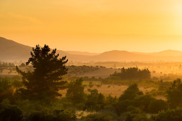 Dawn in the crop fields and farms at Region del Maule in Central Chile