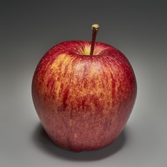 Apple Fruit - High Resolution Studio Shot on neutral gray background