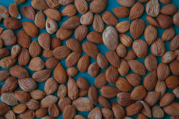 the seeds of apricot