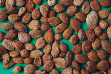 the seeds of apricot