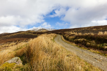 A mountain view with grassy slope, snowy summits and path under a majestic blue sky and white clouds
