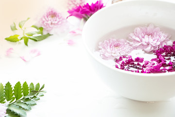 The fresh flower on white ceramic pot,the aromatic background,