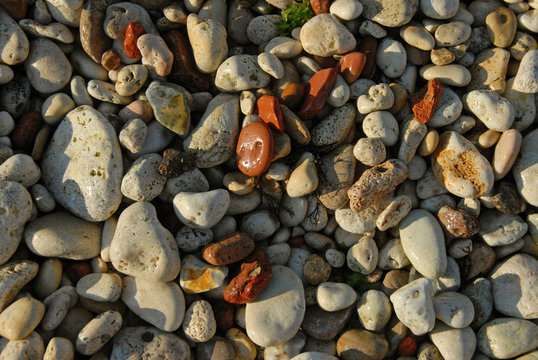 Multi-colored sea pebbles on the coast of the sea or ocean, always wet from the oncoming waves, Beautiful background. Multicolored sea pebbles on the coast of the sea or ocean, always wet from the onc