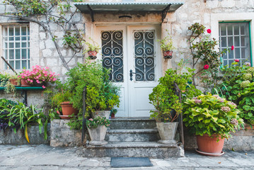 entrance door with plants and flowers