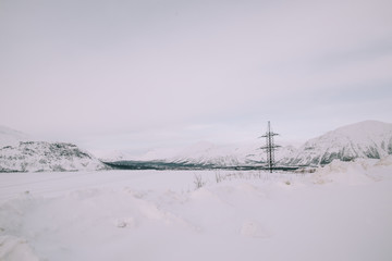 winter road and trees with snow and alps landscape