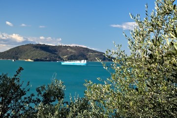 Fototapeta premium Olive grove and garden with sea view.