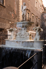 Amenano fountain in Catania